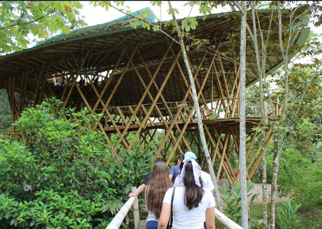Butterflies of Costa Rica - Biophilia Park