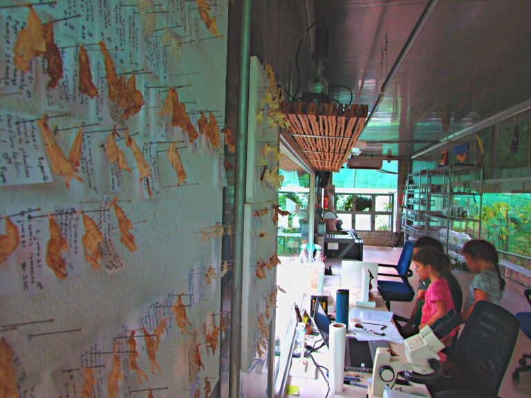 BIOPHILIA PARK