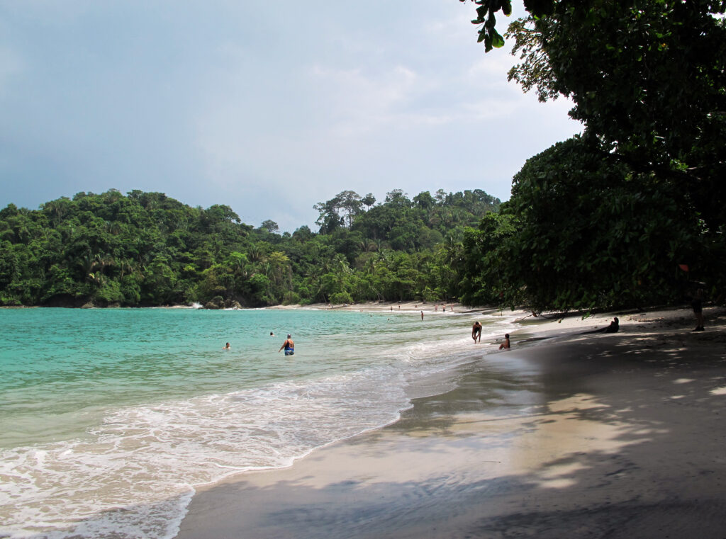 Playa Espadilla: A Stunning Beach in the Heart of the Jungle