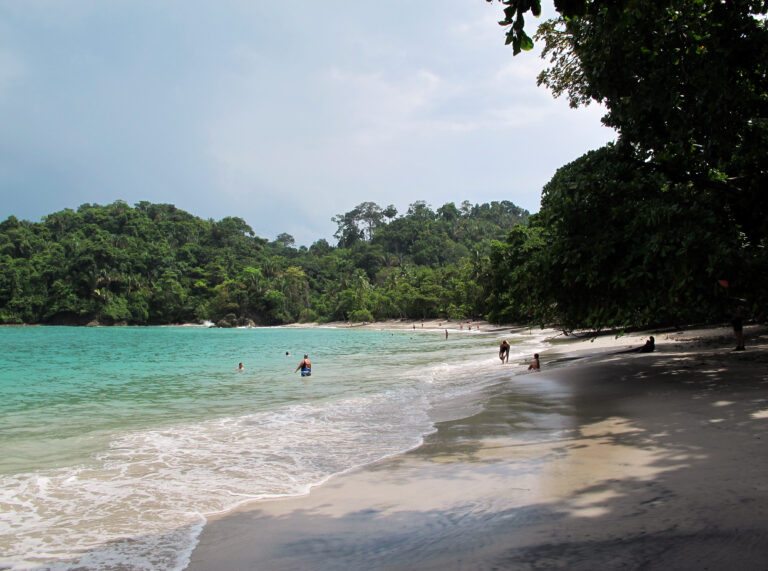 Playa Espadilla: A Stunning Beach in the Heart of the Jungle