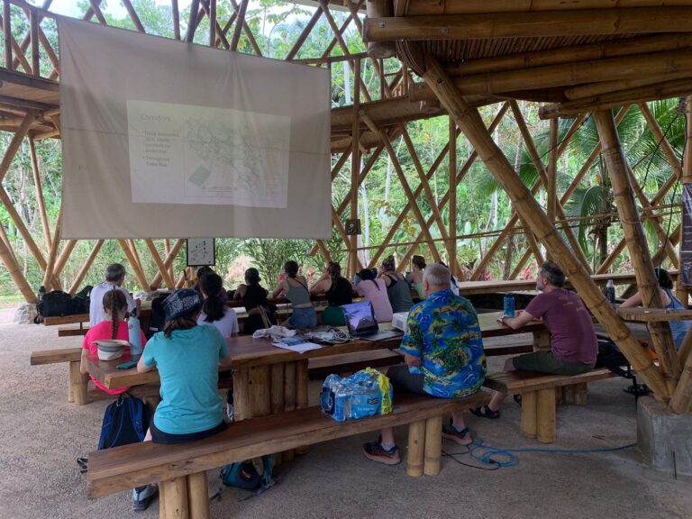 Empowering Future Conservationists: Biophilia Park's Pioneering Educational Tours and Research